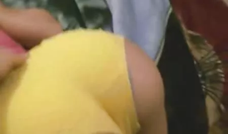 野生狂欢与大山雀和紧身的pussies