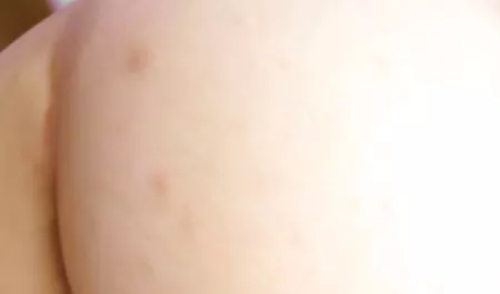 邦妮格雷得到第一个肛门和饼
