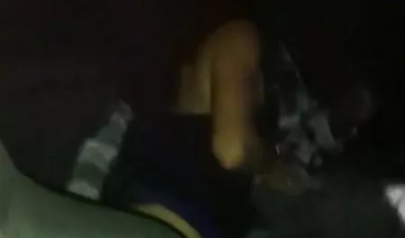 女同性恋宝贝休息一下学习吃猫