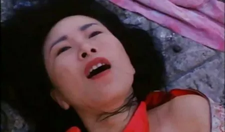 快与秘书